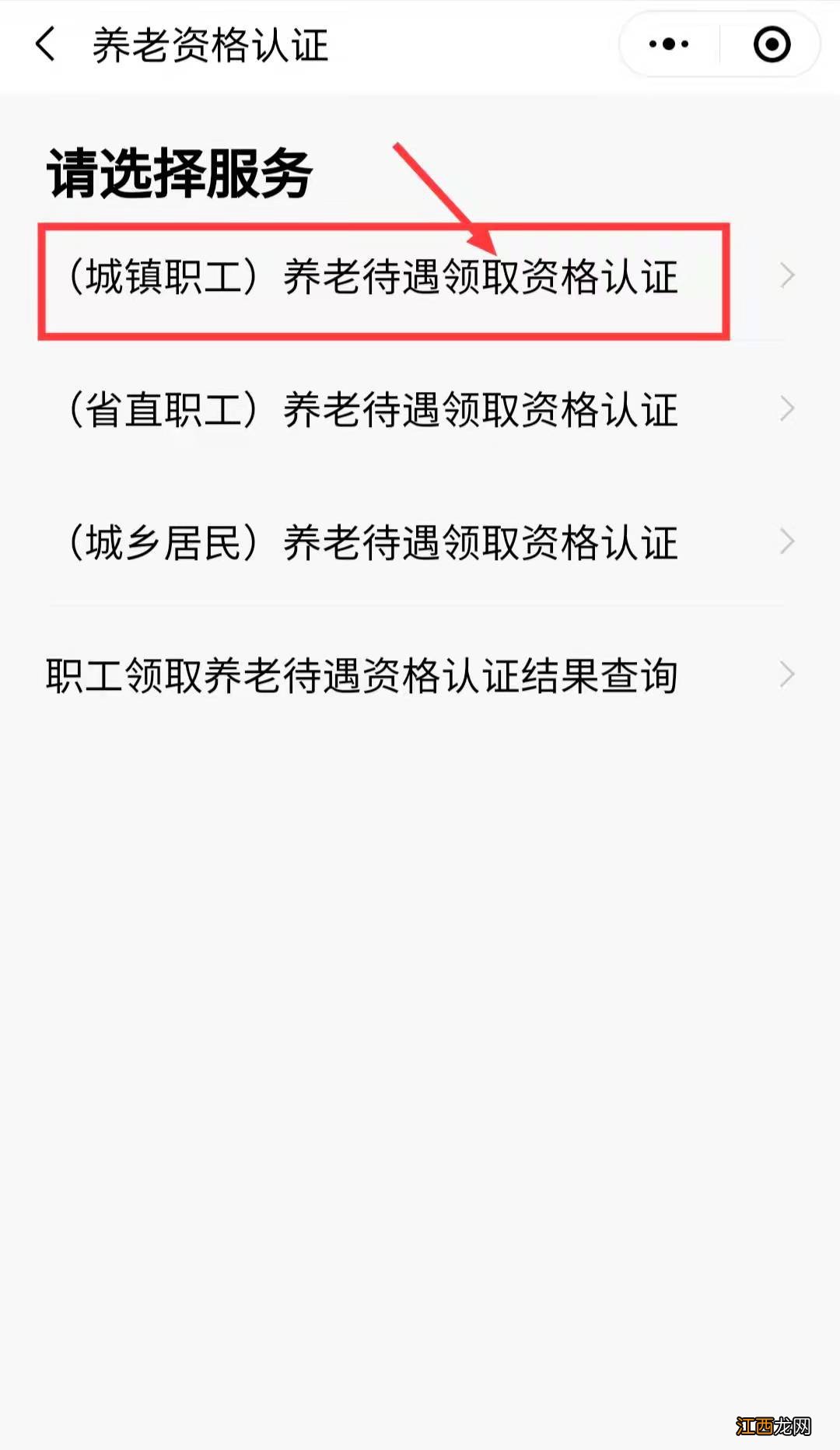 普宁市企业职工基本养老保险待遇领取资格网上认证流程