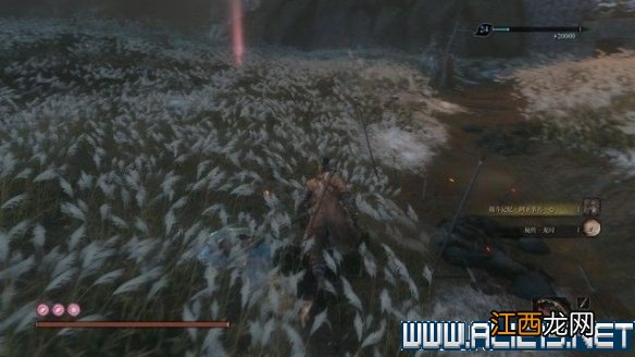 只狼结局达成条件是什么 只狼所有结局触发条件