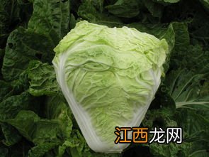 白菜与什么相克 卷心菜榨汁做法