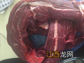 牛肉哪个部位的肉最嫩最好吃 肥牛怎么弄