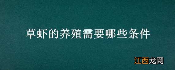 草虾的养殖需要哪些条件 草虾的养殖技术