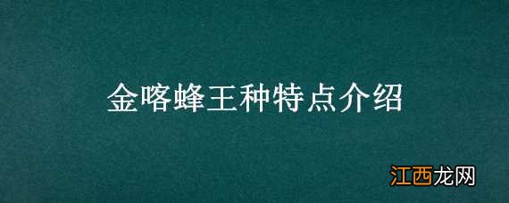 金喀蜂王种特点介绍视频 金喀蜂王种特点介绍