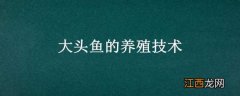 大头鱼的养殖技术 大头鱼的养殖技术和方法