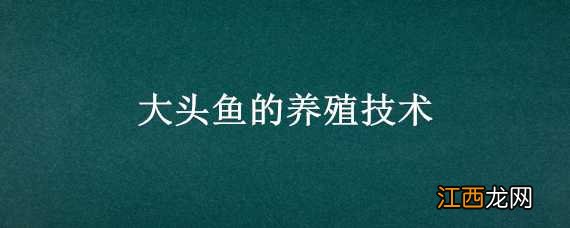 大头鱼的养殖技术 大头鱼的养殖技术和方法