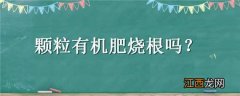 颗粒有机肥烧根吗 生物有机肥烧根吗