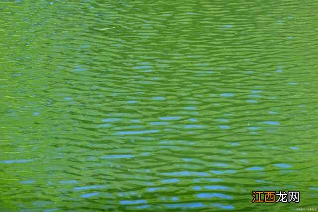 三十六陂春水,白头想见江南,寻找江南的情致