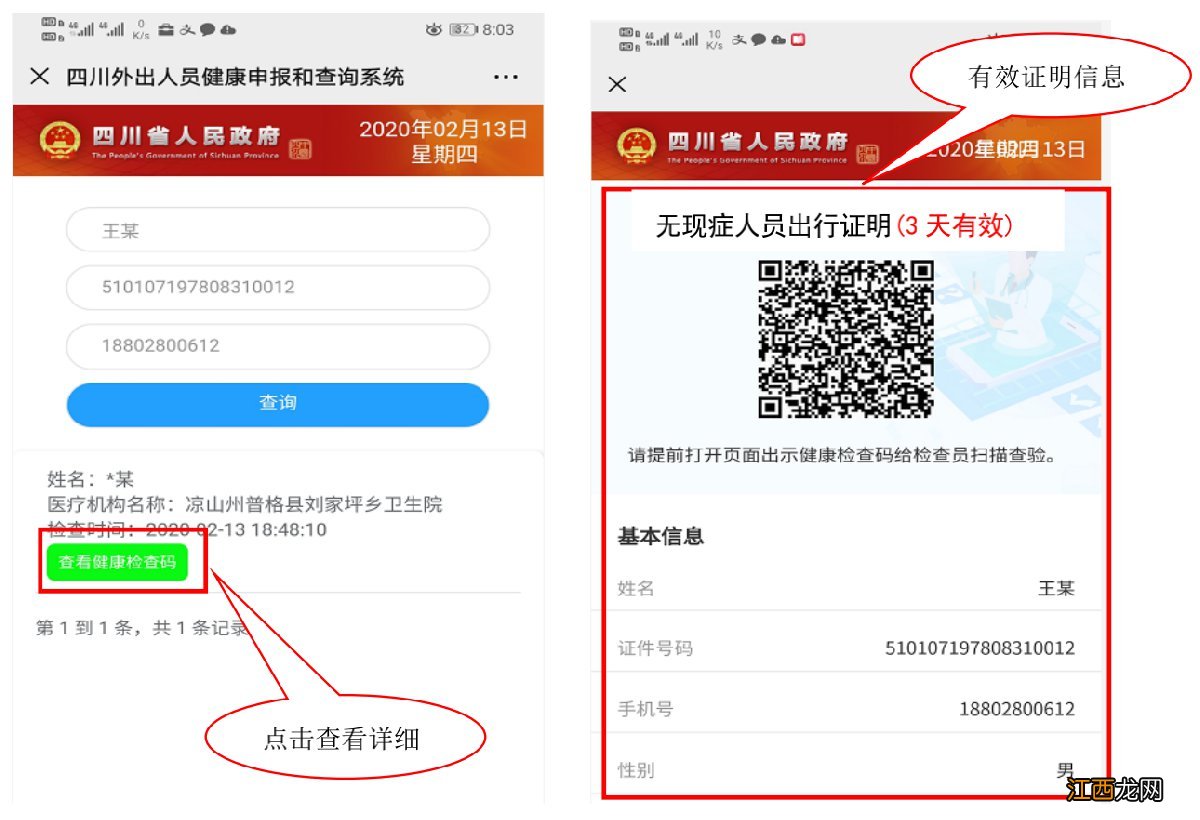 四川外出人员健康证明查询指南