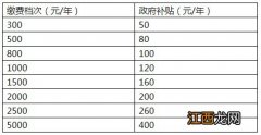 温州城乡养老保险按年缴费和一次性补缴哪种缴费方式更好?