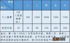 2020年金华市城乡居民养老保险什么时候可以调整档次