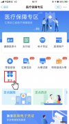 嘉兴医保缴费如何查询？ 嘉兴医保余额查询
