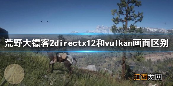 荒野大镖客2directx12花屏 荒野大镖客2directx12和vulkan画面区别