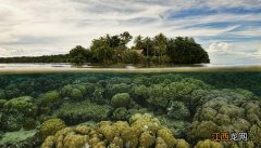 生物的多样性是什么 生物的多样性是啥