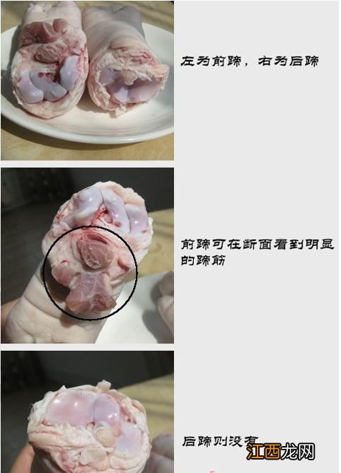 猪蹄怎么区分前后 怎样分辨猪手和猪脚