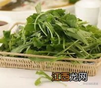 春天有哪些野菜比较好吃 春天适合吃的野菜有哪些