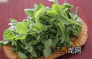 豌豆尖怎么样才能吃 你喜欢吃豌豆尖吗？怎么做最好吃的菜