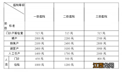 2022武汉生育医疗费支付标准