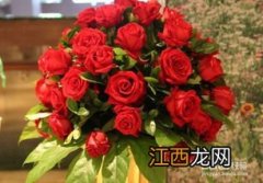 玫瑰花如何养？ 玫瑰花苗用什么土怎么养？