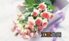 鲜花如何保养