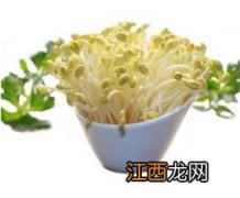 白菜发芽后怎么种 夏季适合种植哪些品种的白菜？