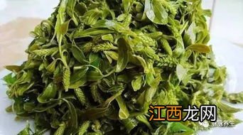 春天和妈妈一起挖野菜 野菜怎么做才好吃？