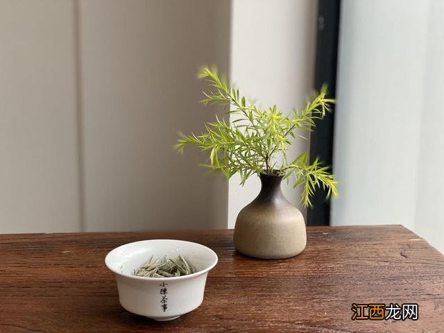 什么是茶树菇 红茶香菇是什么