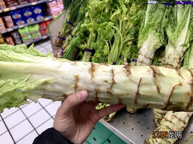 凉拌莴笋为什么会发苦 莴笋为什么会发苦的原因
