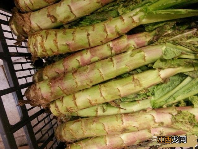 凉拌莴笋为什么会发苦 莴笋为什么会发苦的原因