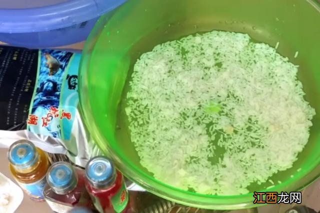 家里什么可以代替鱼食 什么鱼吃米饭