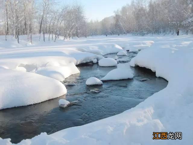 雪蛤是植物还是动物 养的雪蛤与野生有什么区别