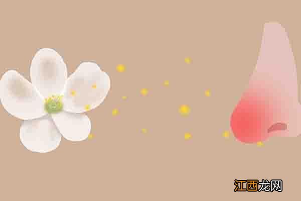 咳嗽平时吃什么食物好 咳嗽可以吃什么缓解