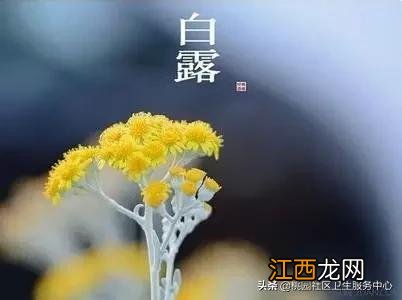 补血吃什么食物最好 秋天吃哪些蔬菜对身体好