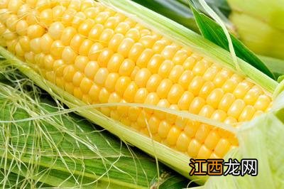 玉米煮饭有什么好处 怀孕期间吃玉米饭有什么作用与功效