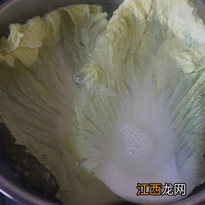 白菜和什么菜搭配包饺子好吃 白菜可以和什么一起包饺子