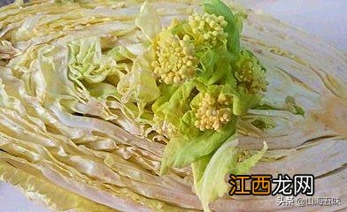 大白菜蔫了是什么原因 新鲜的蔬菜会慢慢干瘪是什么现象