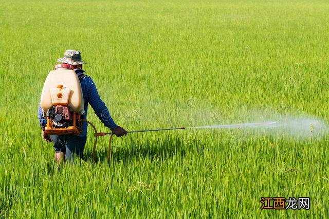 用什么可以去除蔬菜上的农药 怎样才能去掉菜里的农药