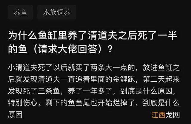 为什么无头鱼要去头 无头鱼的头为什么不能吃