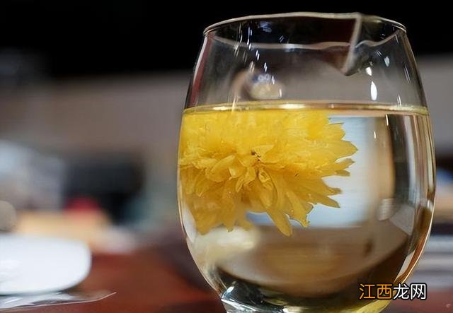 菊花可以搭配什么泡茶 菊花茶跟什么一起吃