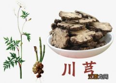 请问一下川芎有什么功效 川芎的作用是什么？