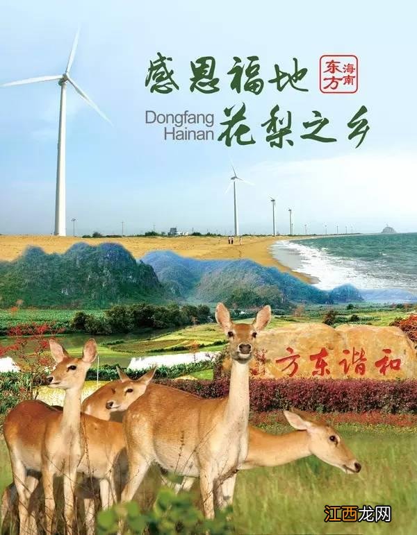 小瓜皮 瓜皮长什么样子