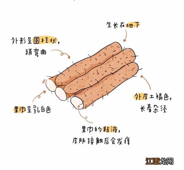 秋天有哪些当季蔬菜 秋天有什么时令蔬菜