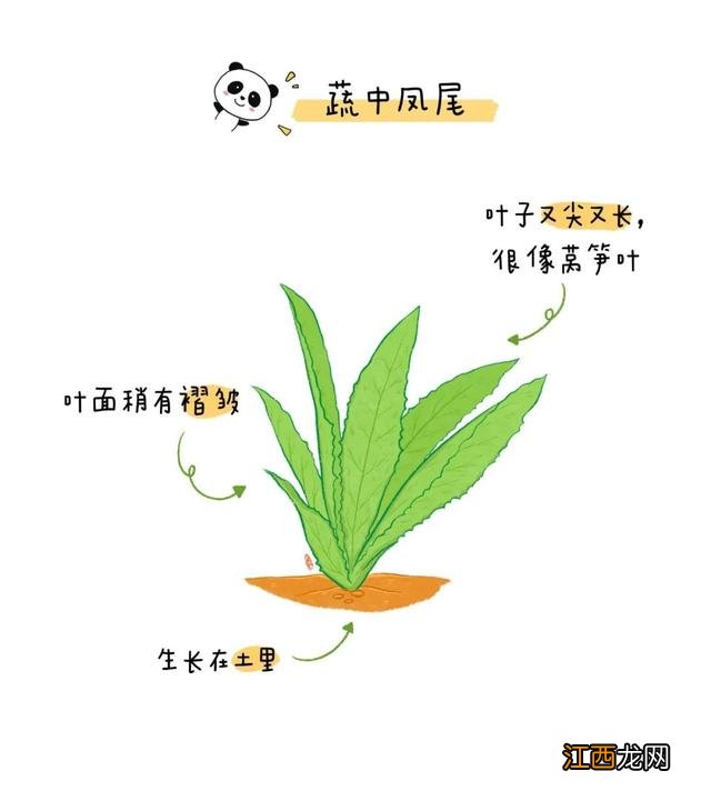 秋天有哪些当季蔬菜 秋天有什么时令蔬菜