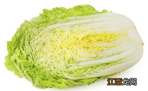 12月份适合种什么菜 寒露适宜种什么菜