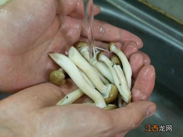 适合牙疼的人吃食谱搭配 牙齿不好吃什么菜谱