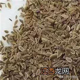 卤水香料炒与不炒有啥区别 卤水炒料有什么意义吗