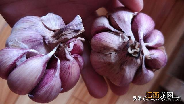 像苋菜的紫色蔬菜是什么 紫苋菜是什么植物