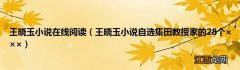 王晓玉小说自选集田教授家的28个××× 王晓玉小说在线阅读