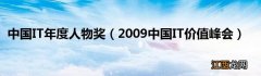 2009中国IT价值峰会 中国IT年度人物奖