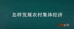 怎样发展农村集体经济? 怎样发展农村集体经济