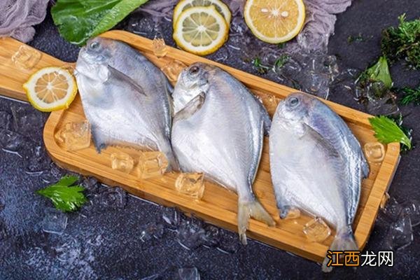心血管病人吃什么鱼最好 心血管病吃什么淡水鱼比较好