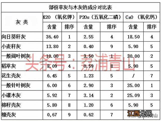 碱水的成分 包粽子用的碱水成分是什么样的